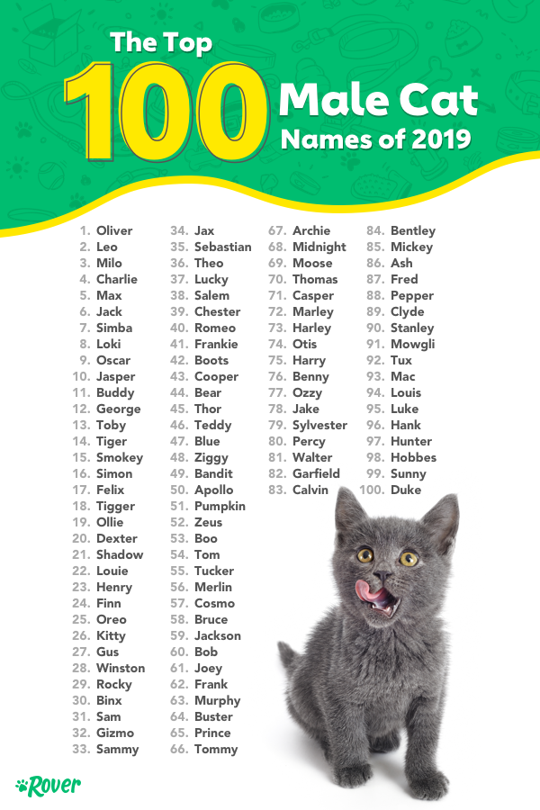100 Top Male and Female Cat Names of 2019