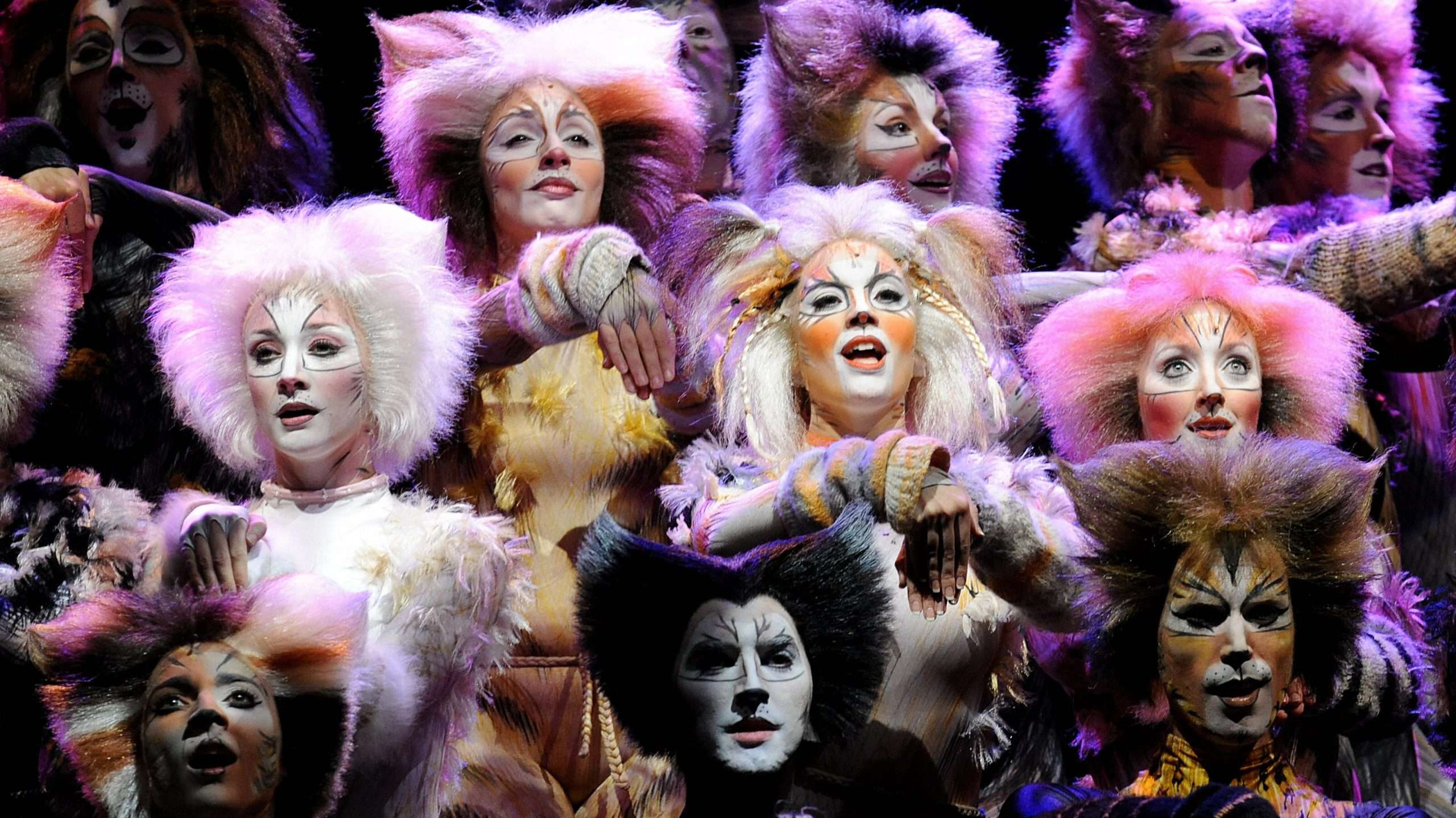 13 Memorable Facts About Cats the Musical