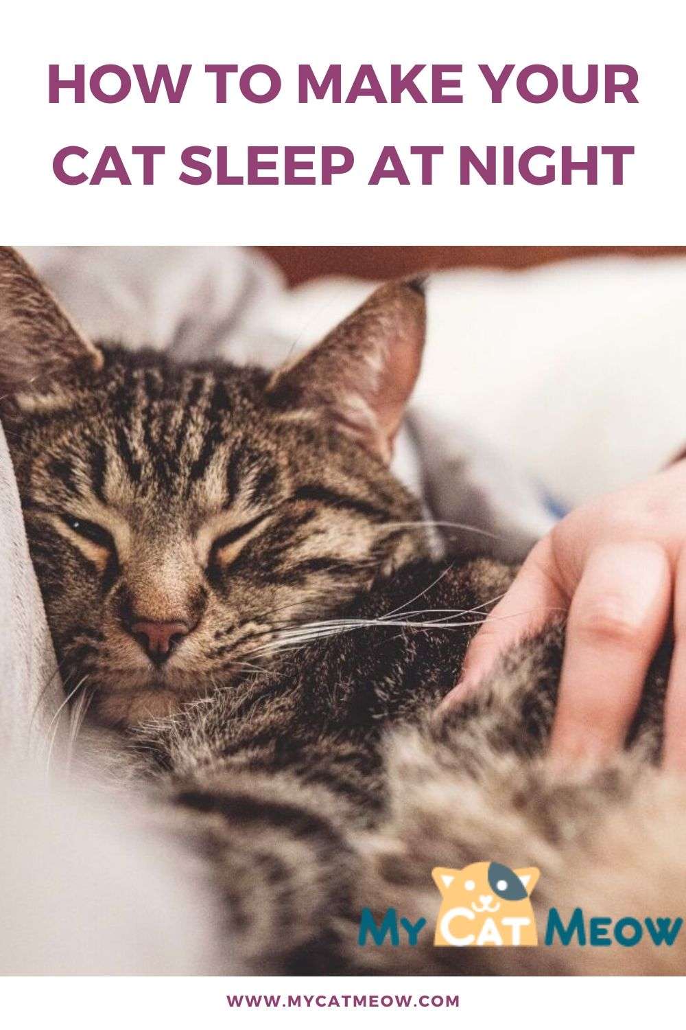 14 Effective Ways to make your Cat Sleep at Night
