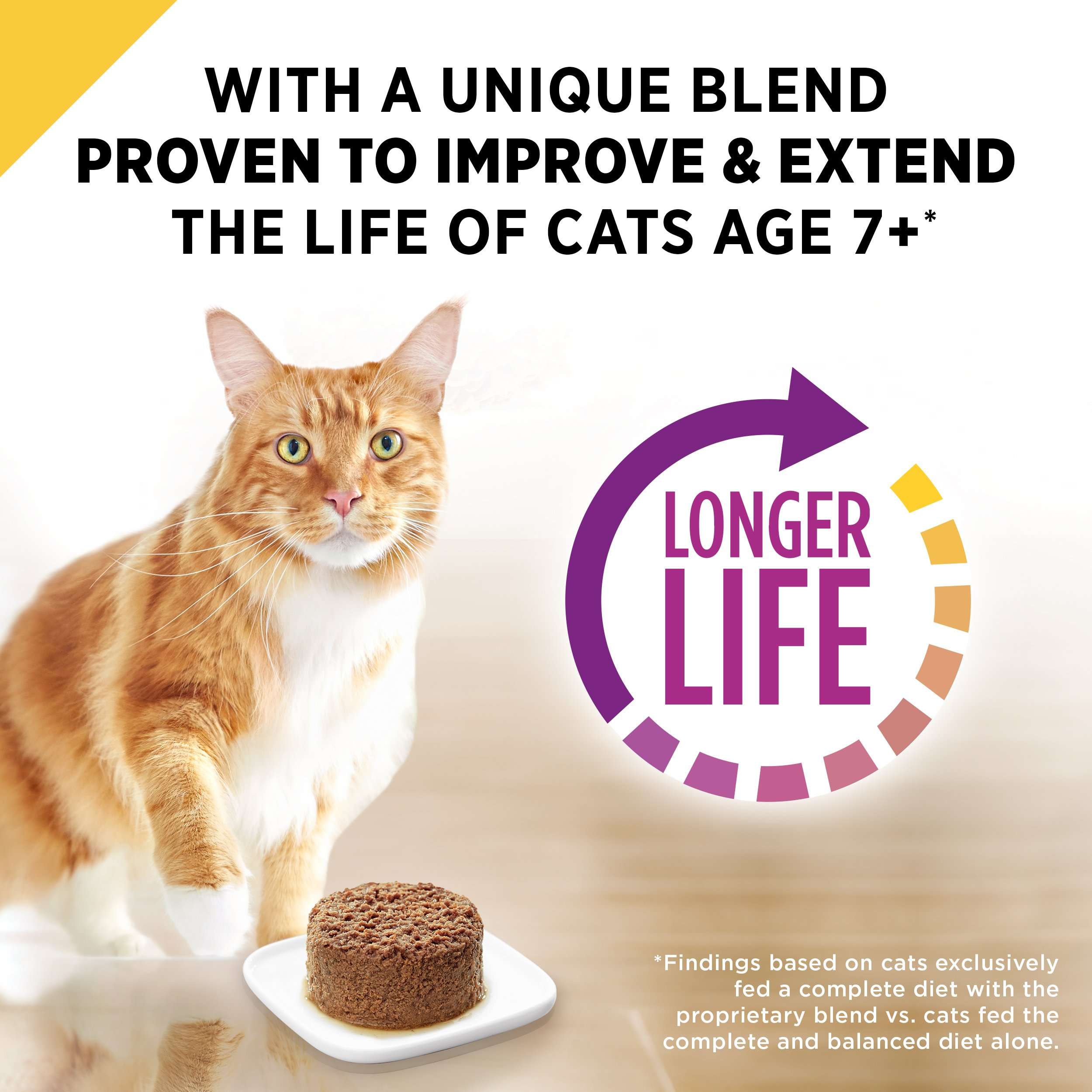 24 Pack Purina Pro Plan Senior Pate Wet Cat Food, PRIME ...