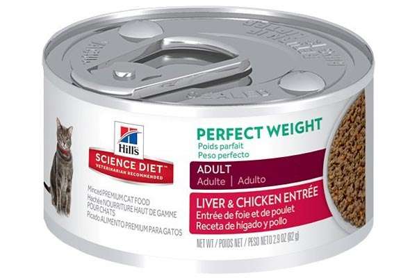 5 Best Wet Cat Food For Weight Loss