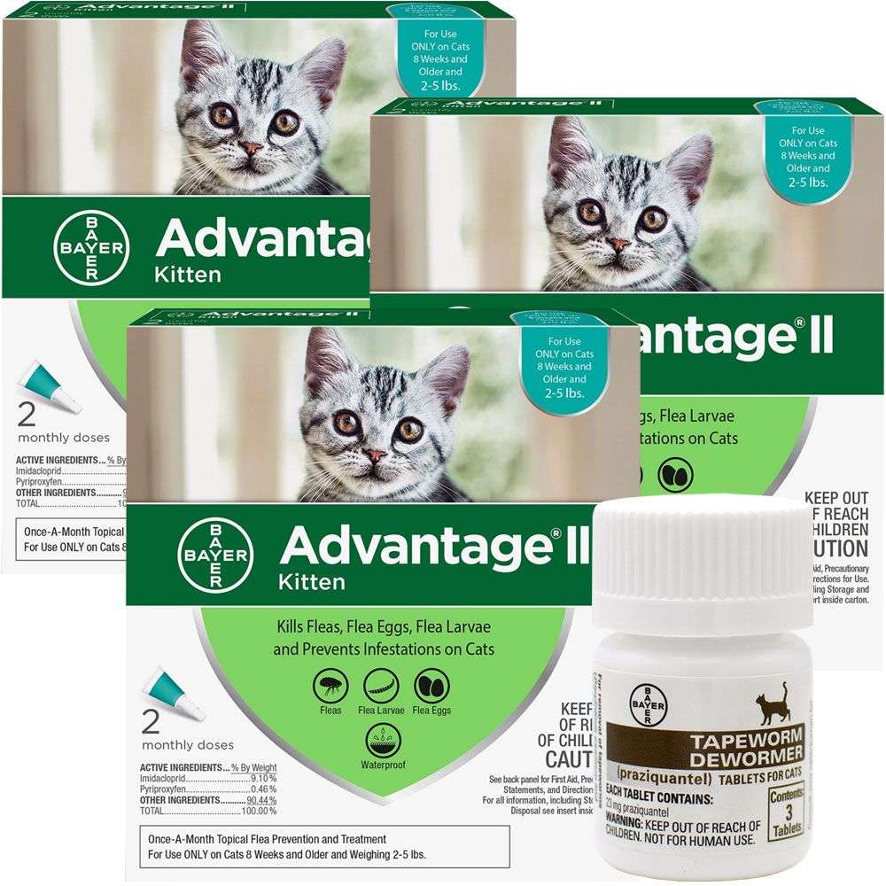 6 MONTH Advantage II Flea Control for Kittens (2