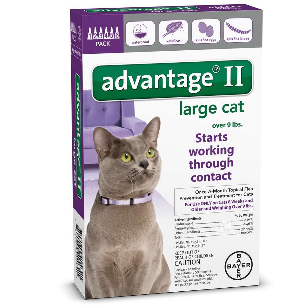 6 MONTH Advantage II Flea Control Large Cat (for Cats over ...