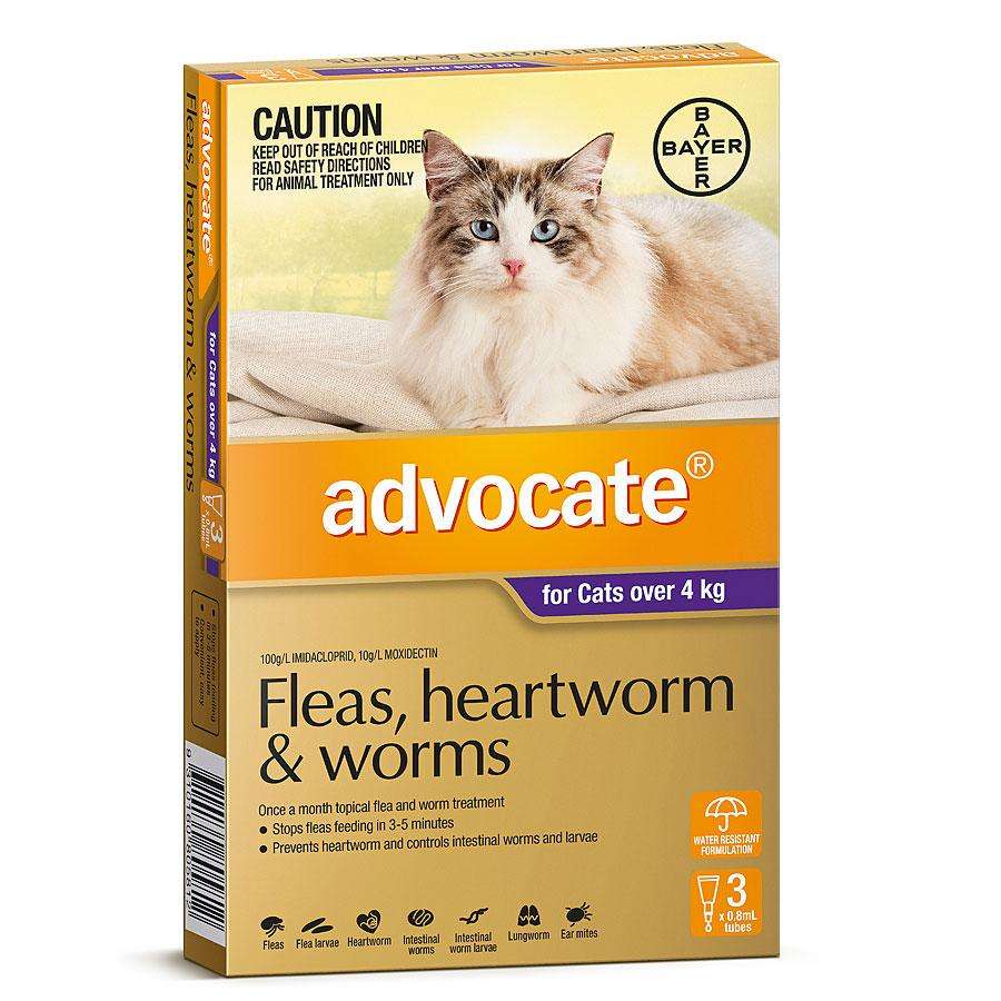 Advocate Flea AND Worm Heartworm Control Treatment FOR ...