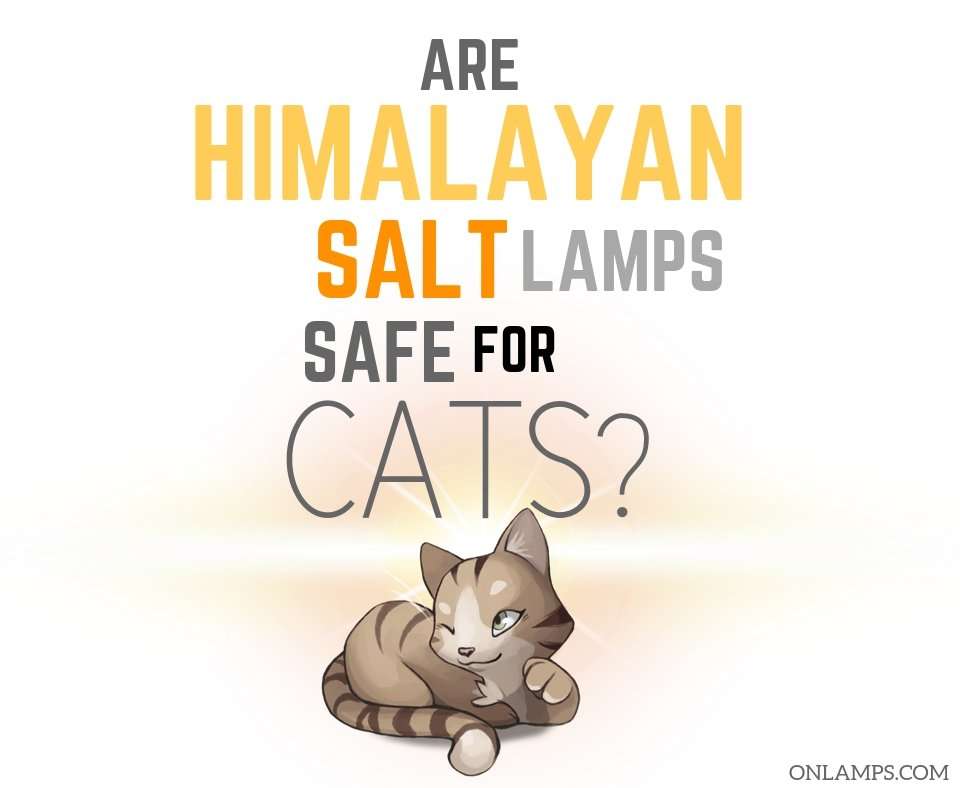 Are Himalayan Salt Lamps Safe for Cats? What You Should Know
