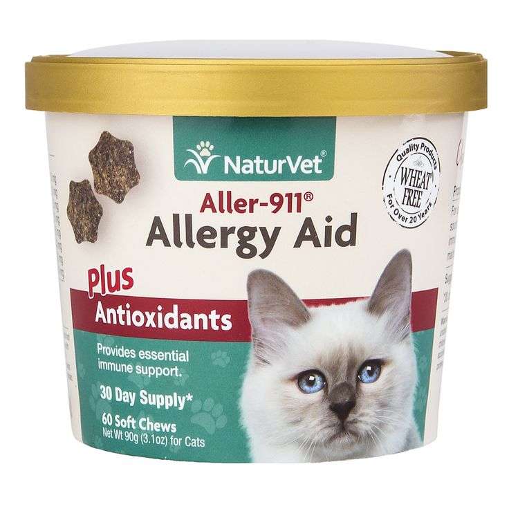 Best Cat Food For Allergies