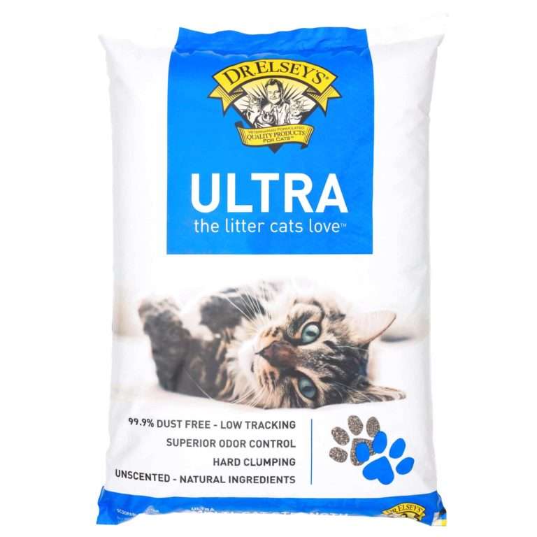 Best Cat Litter For Odor Control