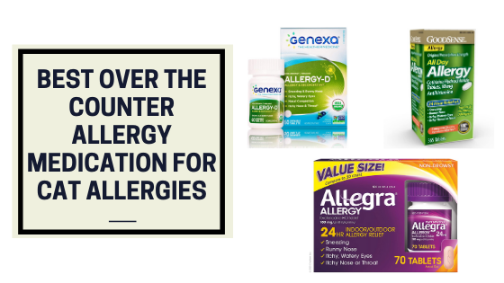 Best over the counter allergy medication for cat allergies ...