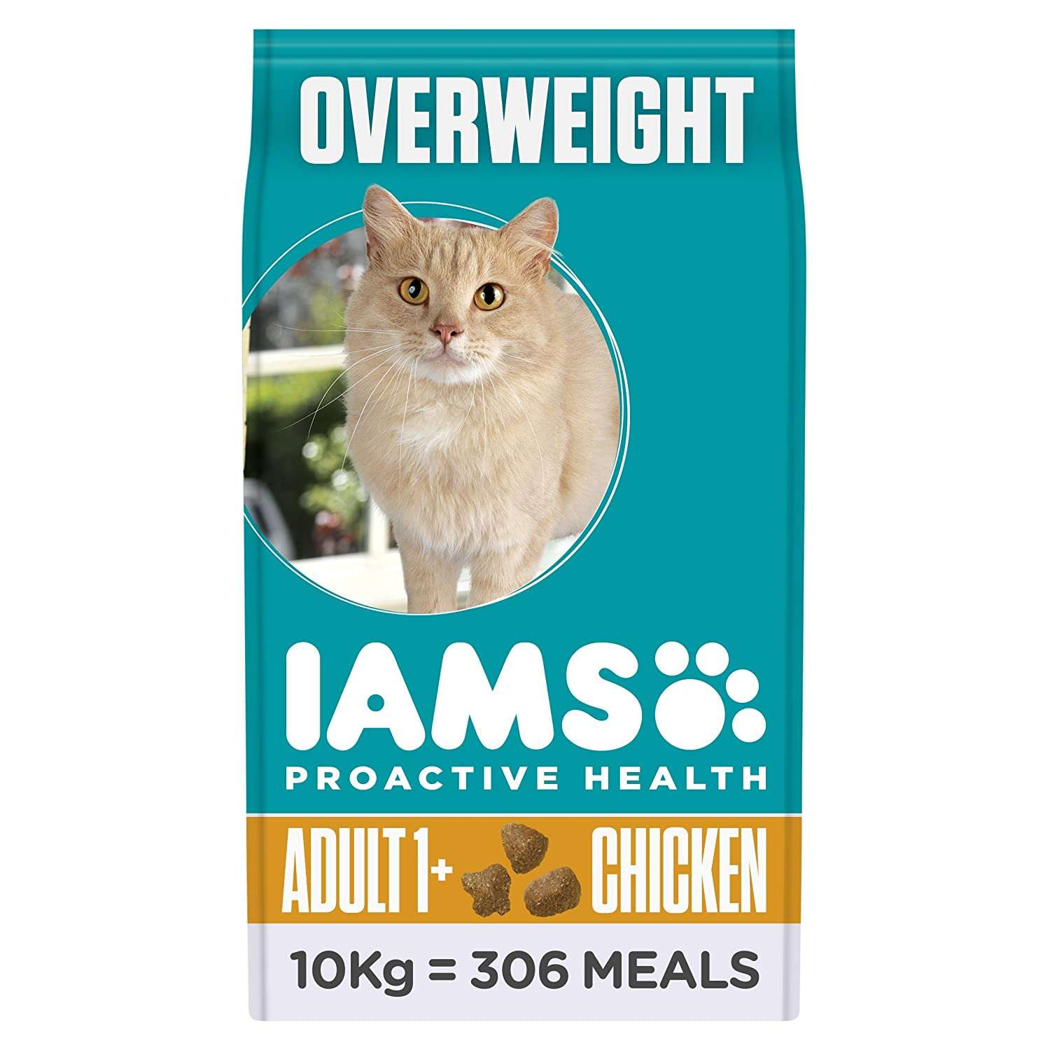 Best Wet Cat Food For Overweight Cats Uk