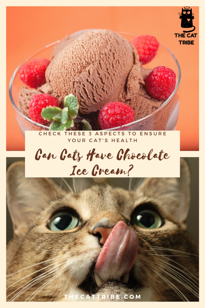 Can Cats Have Chocolate Ice Cream? You Must Check These 3 ...