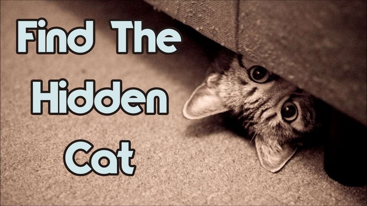 Can You Find The Hidden Cat? 90% Will Fail!