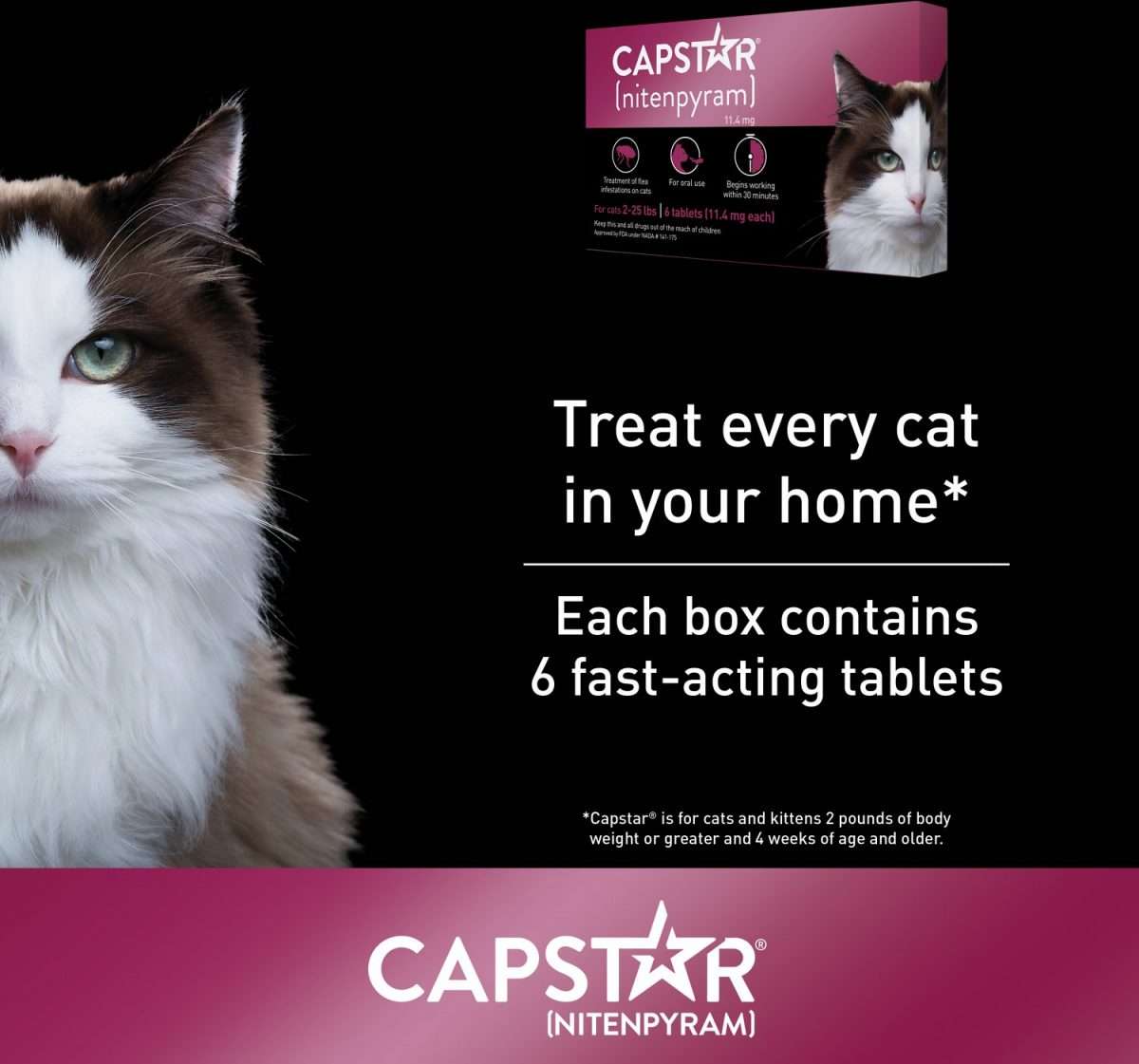 CAPSTAR Flea Tablets for Cats 2