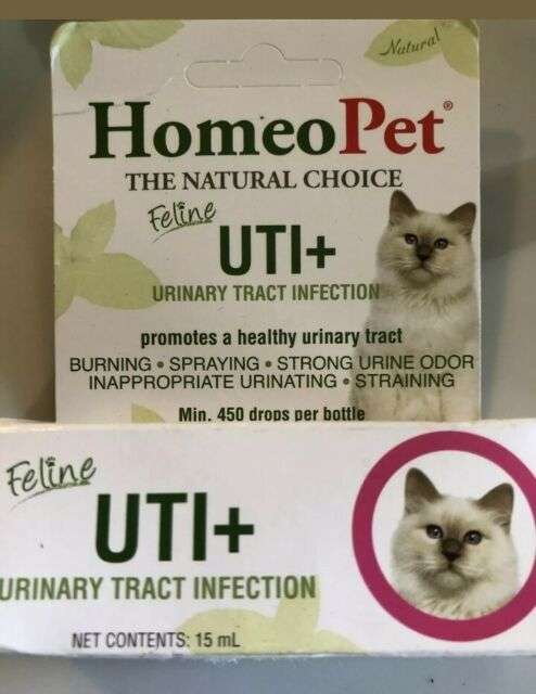 Cat UTI Medicine Homeopet Feline Urinary Tract Infection ...