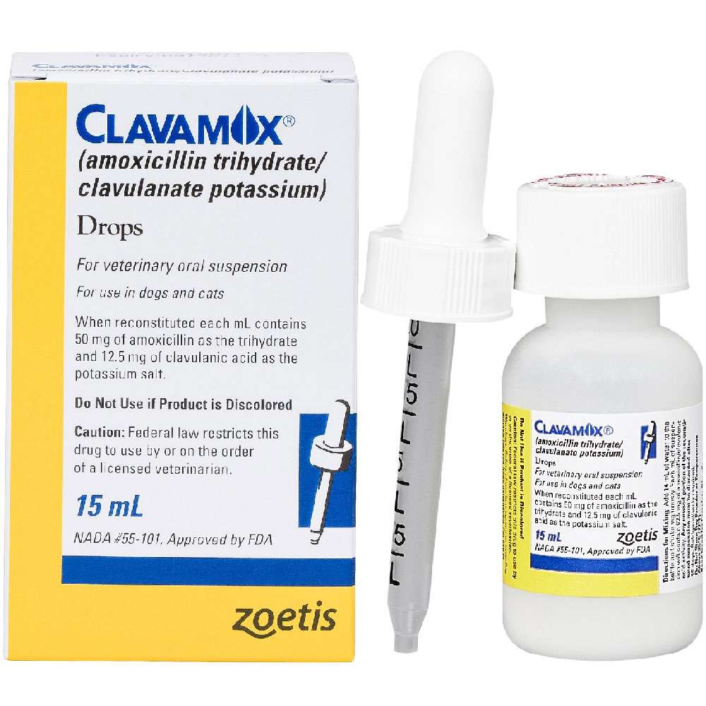 Clavamox Drops for Dogs &  Cats