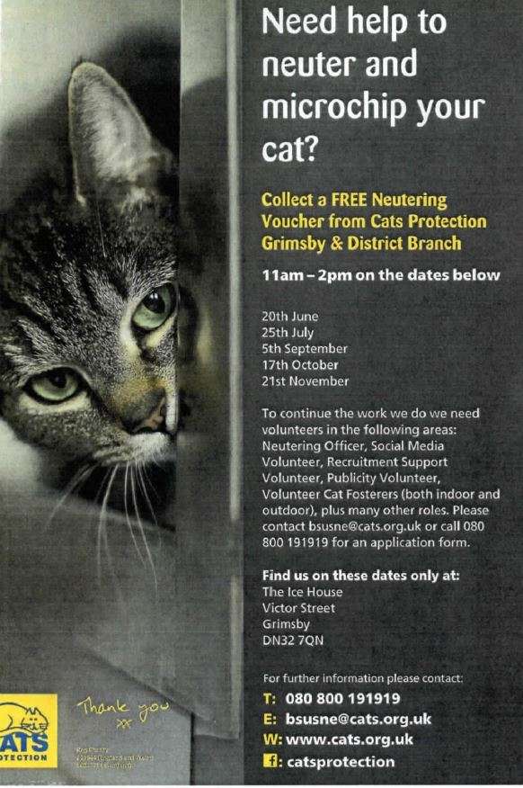 Collect a FREE neutering voucher from Cats Protection Grimsby  and in ...