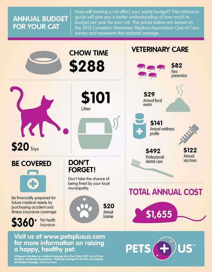 Cost of Pet Care