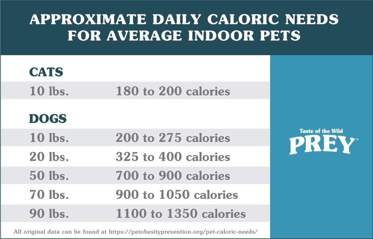 Counting Calories for Your Pet