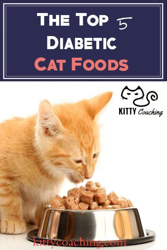 Diabetic Cat Food Reviewed