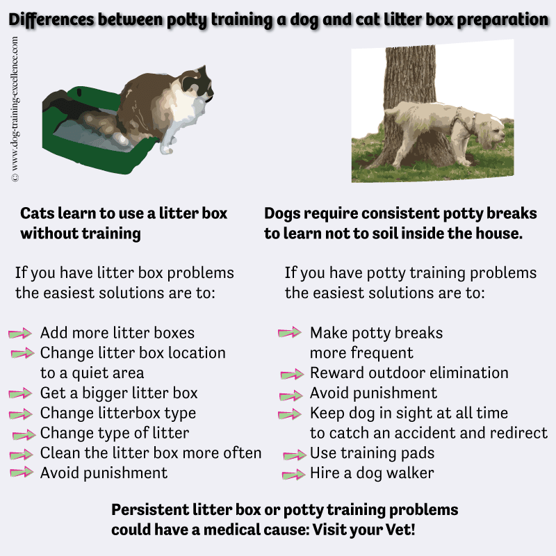 Difference Between Dogs and Cats That Can Help in a Multi