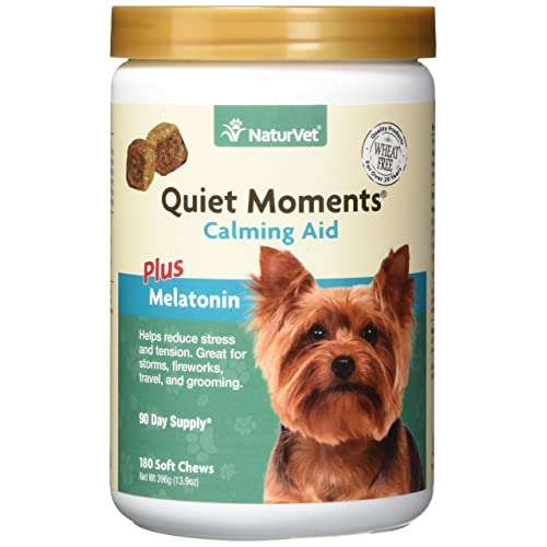 Dog Anxiety Medication Amazon Com