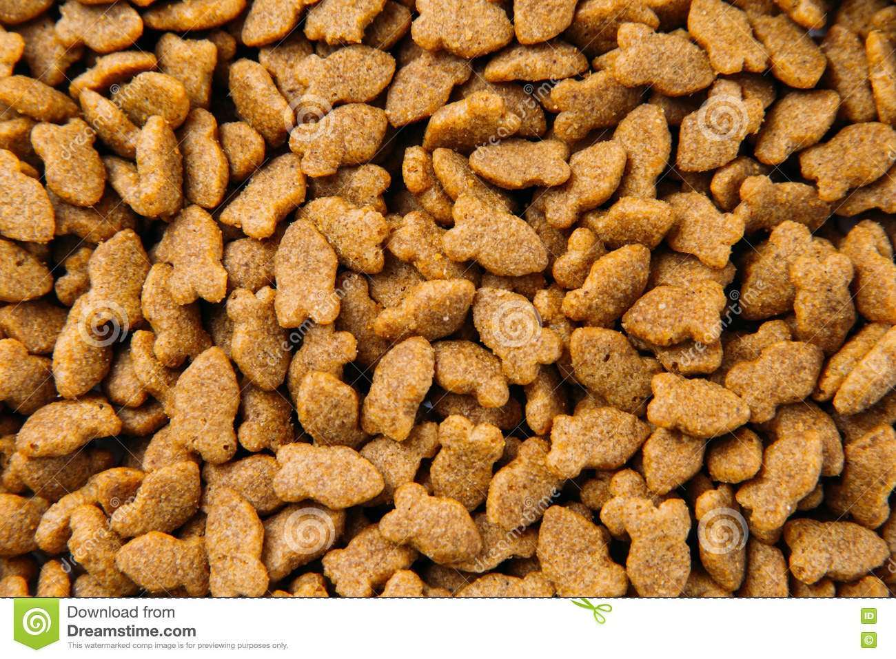 Dried cat food background stock photo. Image of food ...
