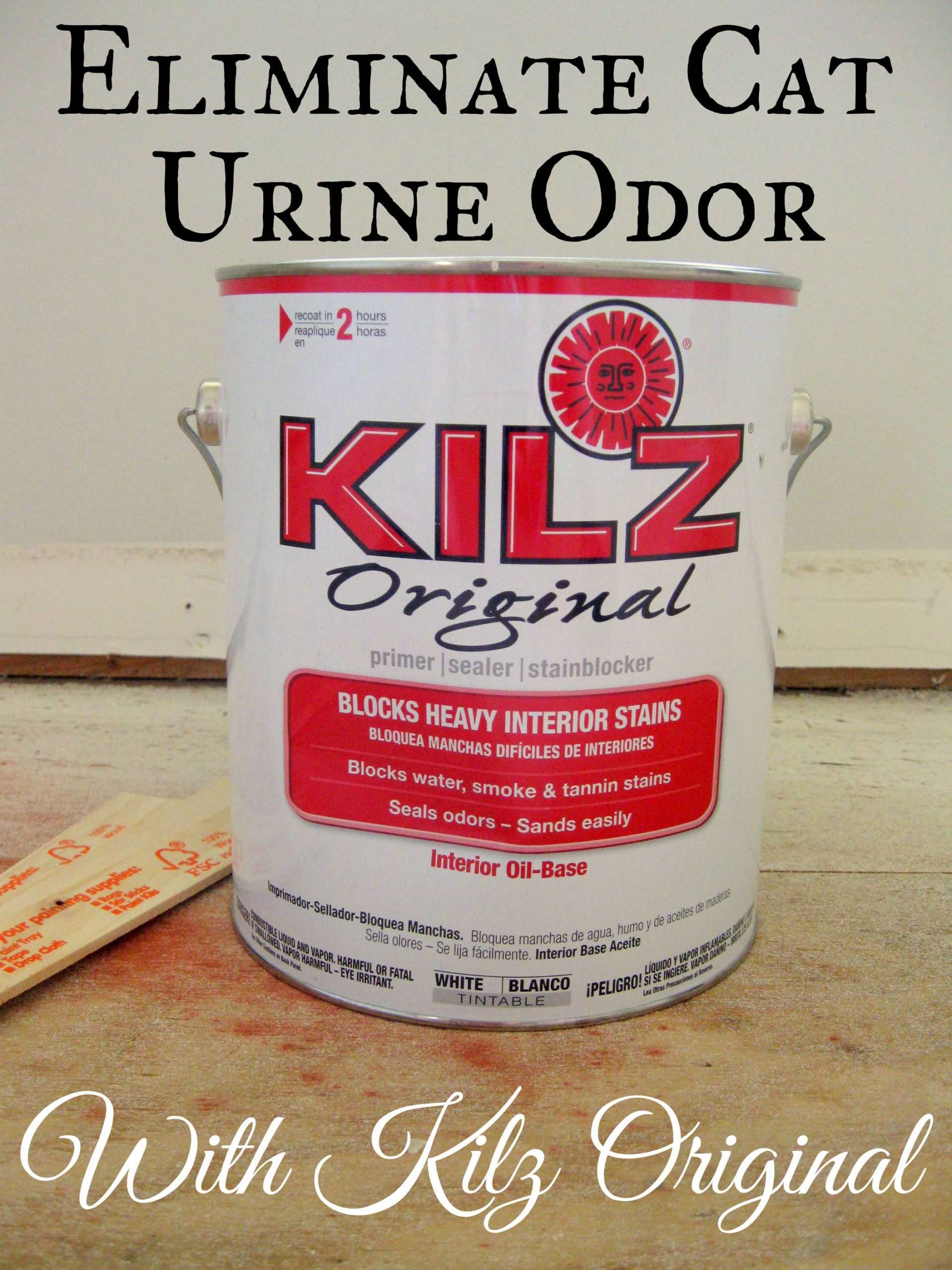 Eliminating Cat Urine Odor