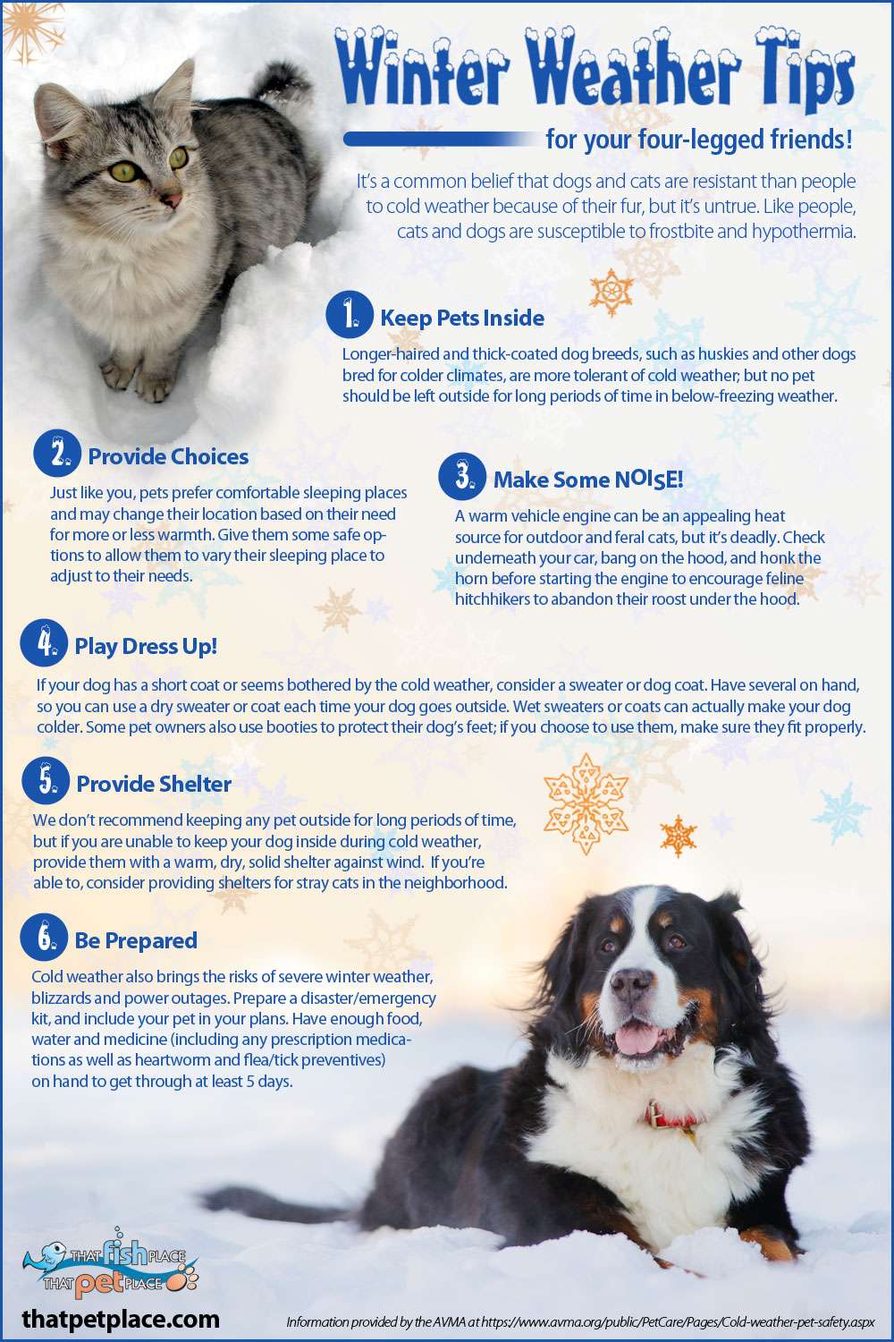ER Nurses Care: Winter Safety Series: 10 Top Tips For ...