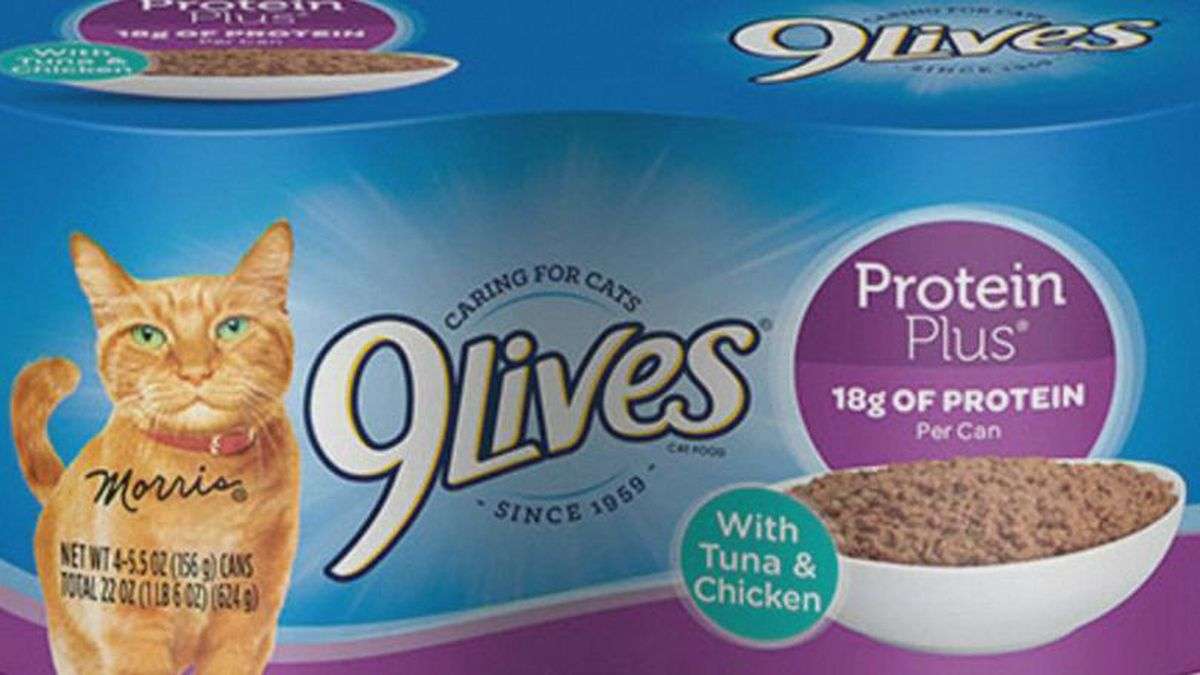 FDA recalls 9 Lives cat food due to low levels of thiamine