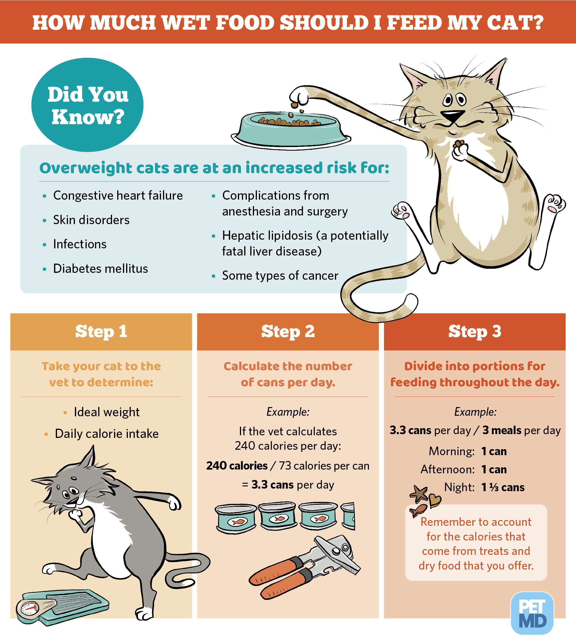 Follow this guide to figure out how much wet food to feed ...