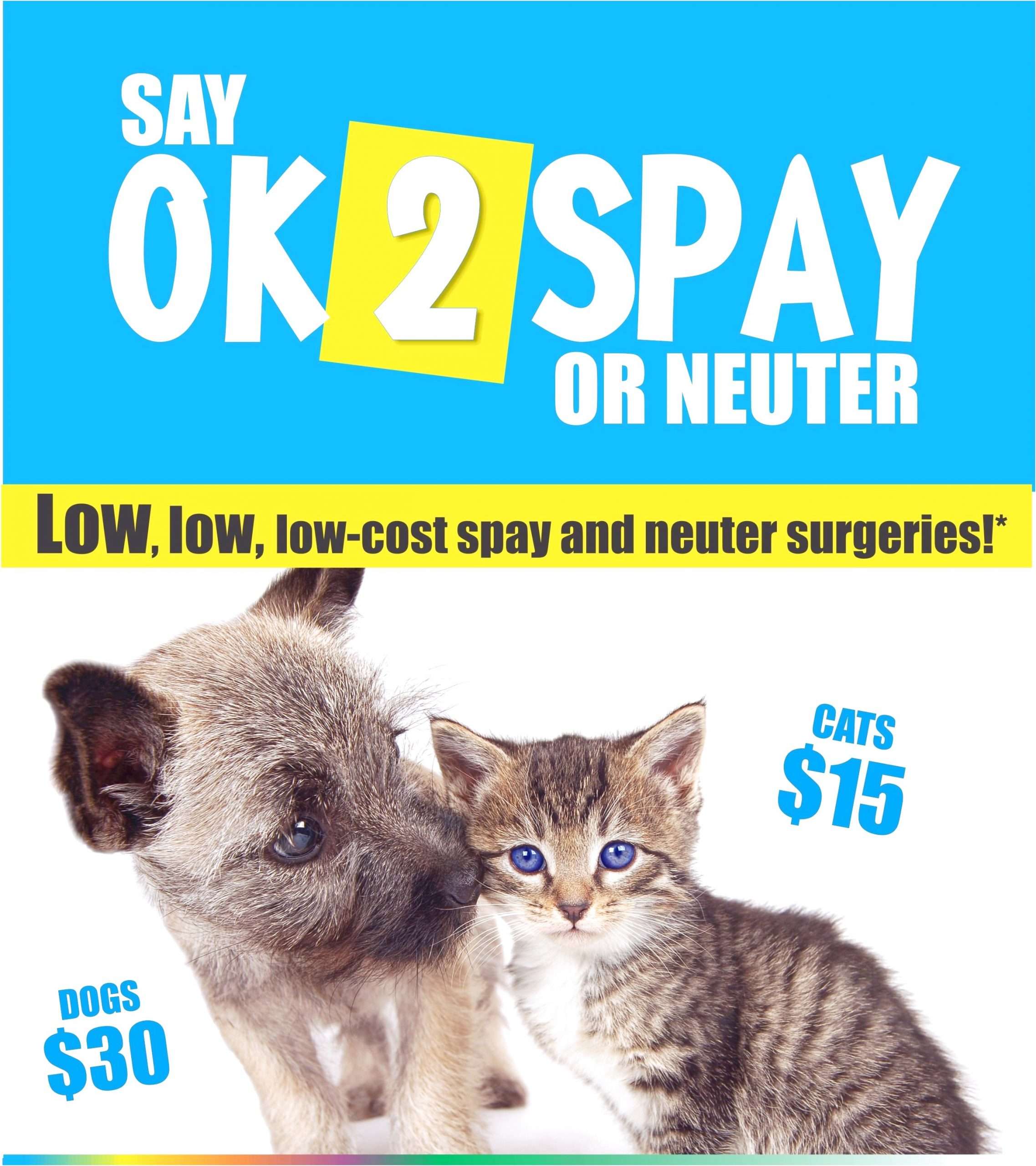 Free Spay And Neuter Vouchers Near Me