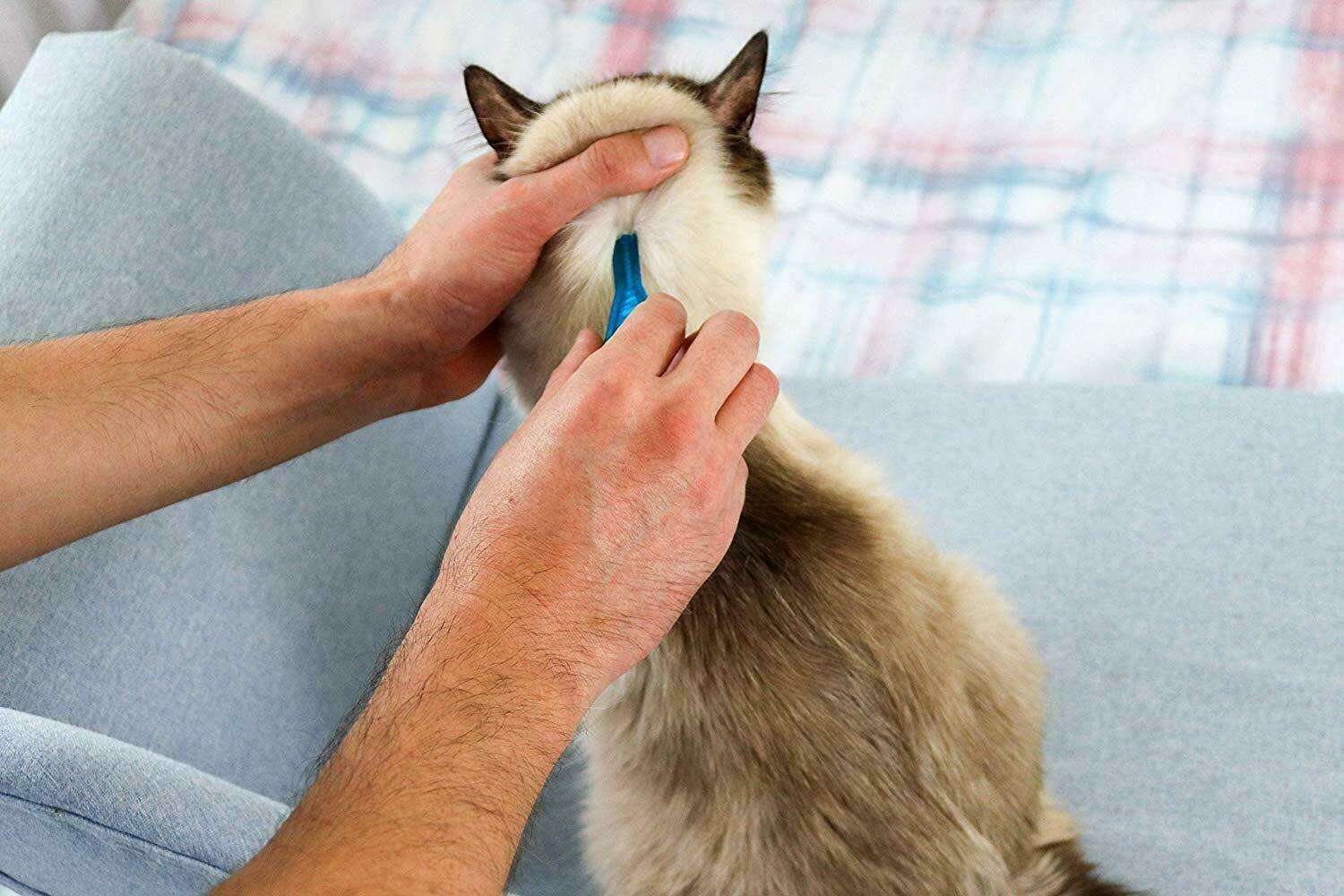 FRONTLINE SPOT ON Flea, Tick, Lice Treatment Dogs &  Cats ...