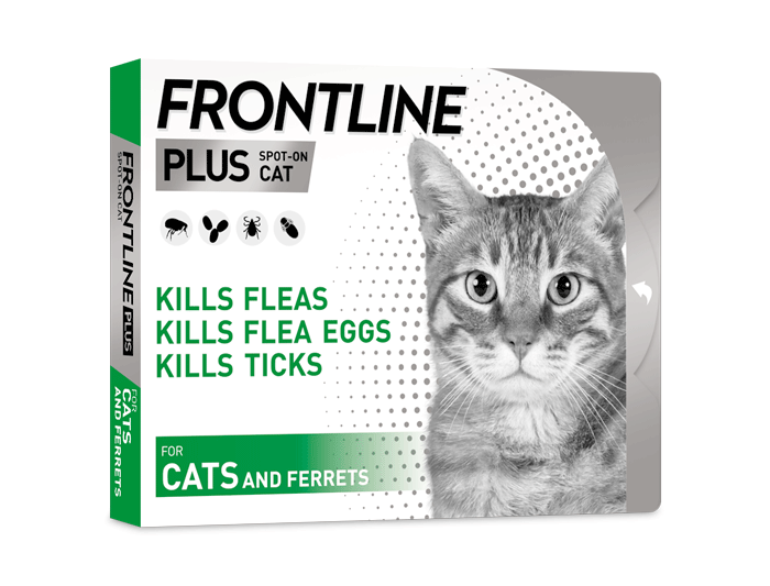 FRONTLINEÂ® PLUS FLEA TREATMENT CATS
