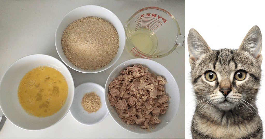 Here are some awesome homemade cat food recipes that can ...