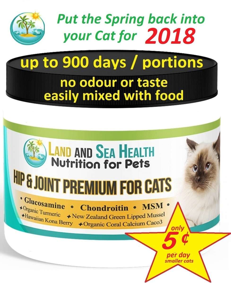 Hip Joint Premium for Cats, Glucosamine, Chondroitin, MSM, Organic ...