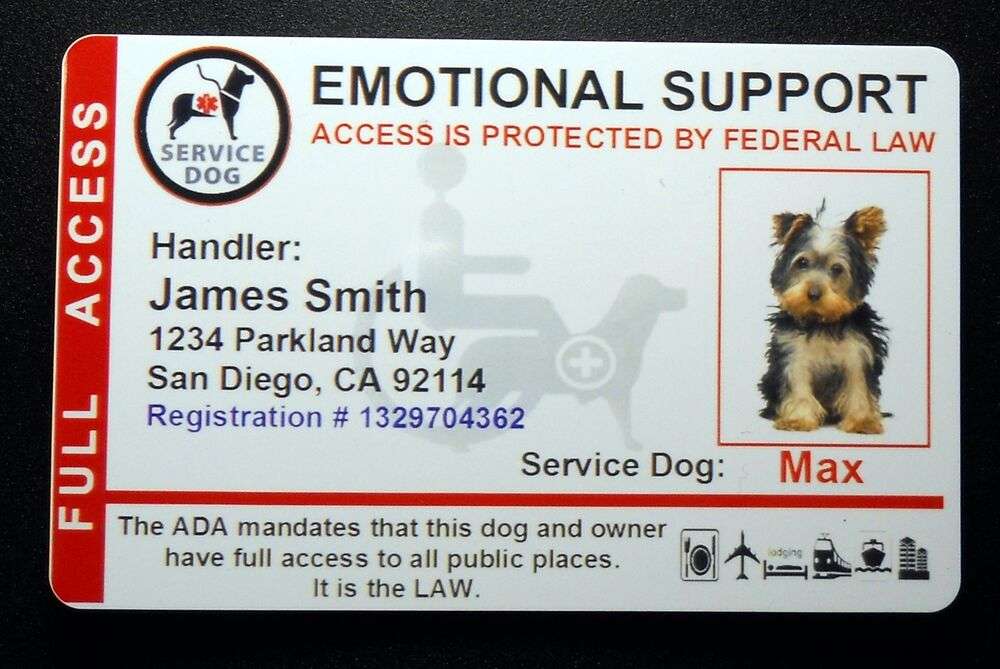 Holographic Emotional Support Animal ID Card Service Dog ID Badge 8 ESA ...