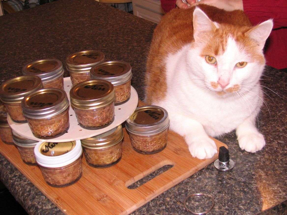 Homemade canned cat food