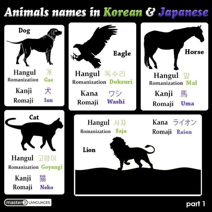 How do you say Animal names in your language? Japanese ...
