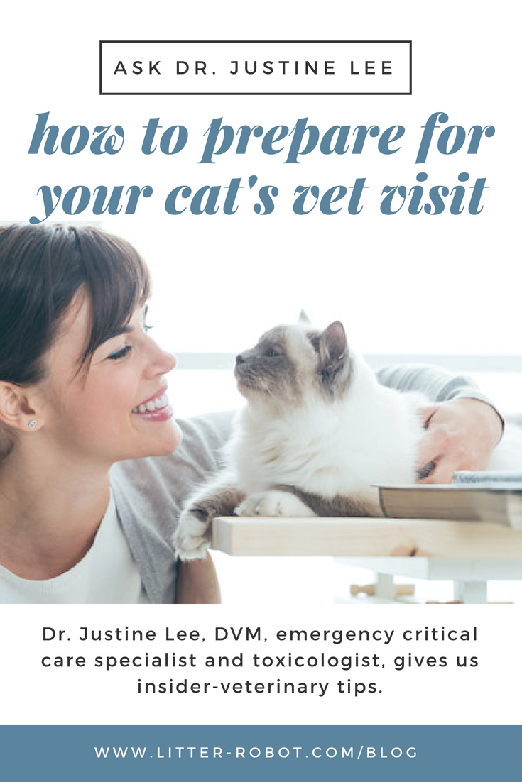How Much Is A Vet Visit Cat