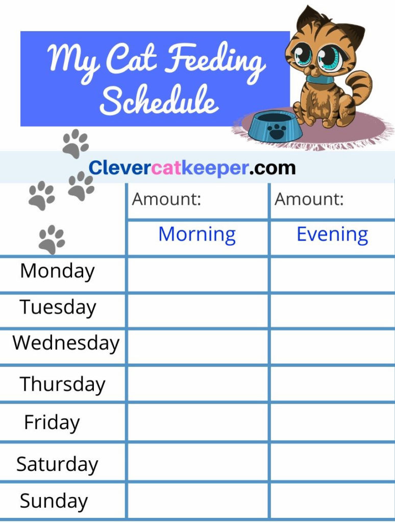 How often should you feed a Bengal cat? (Printable Feeding ...