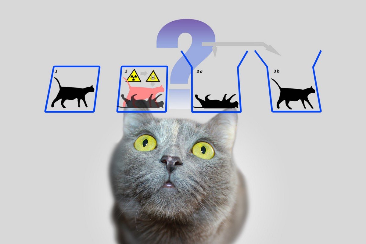 How Schrodingers cat could rescue quantum computing