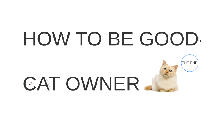 HOW TO BE GOOD CAT OWNER by íì? ì  on Prezi