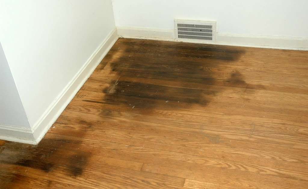 How To Clean Cat Urine Out Of Wood Floors