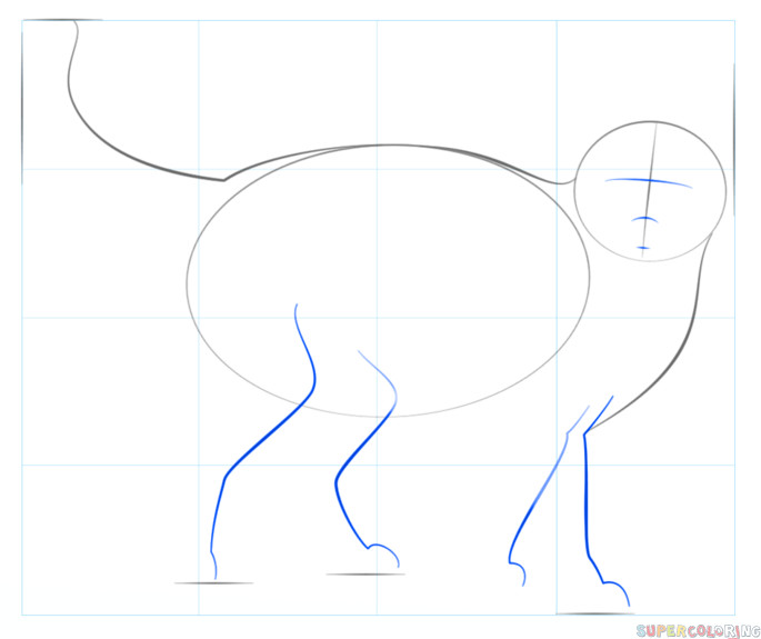 How to draw a Realistic Cat