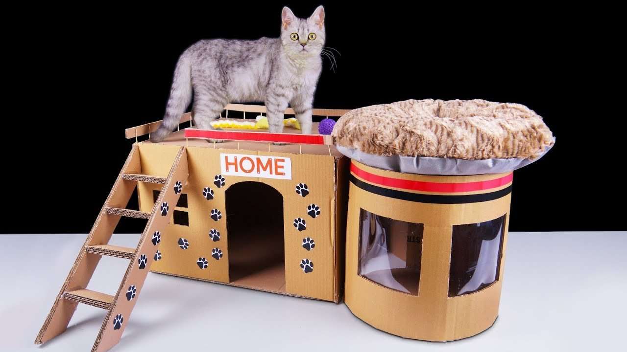 How to Make Amazing Kitten Cat House from Cardboard