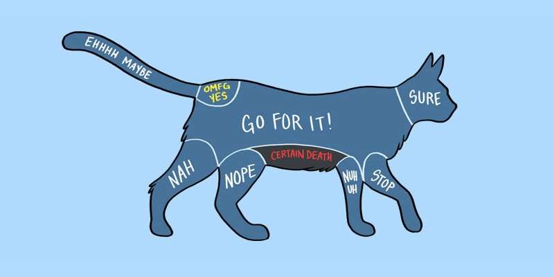 How To Pet Animals Illustrated In Diagrams