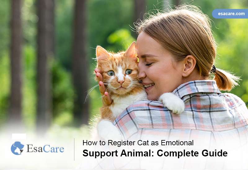 How to Register Cat as Emotional Support Animal: Complete Guide