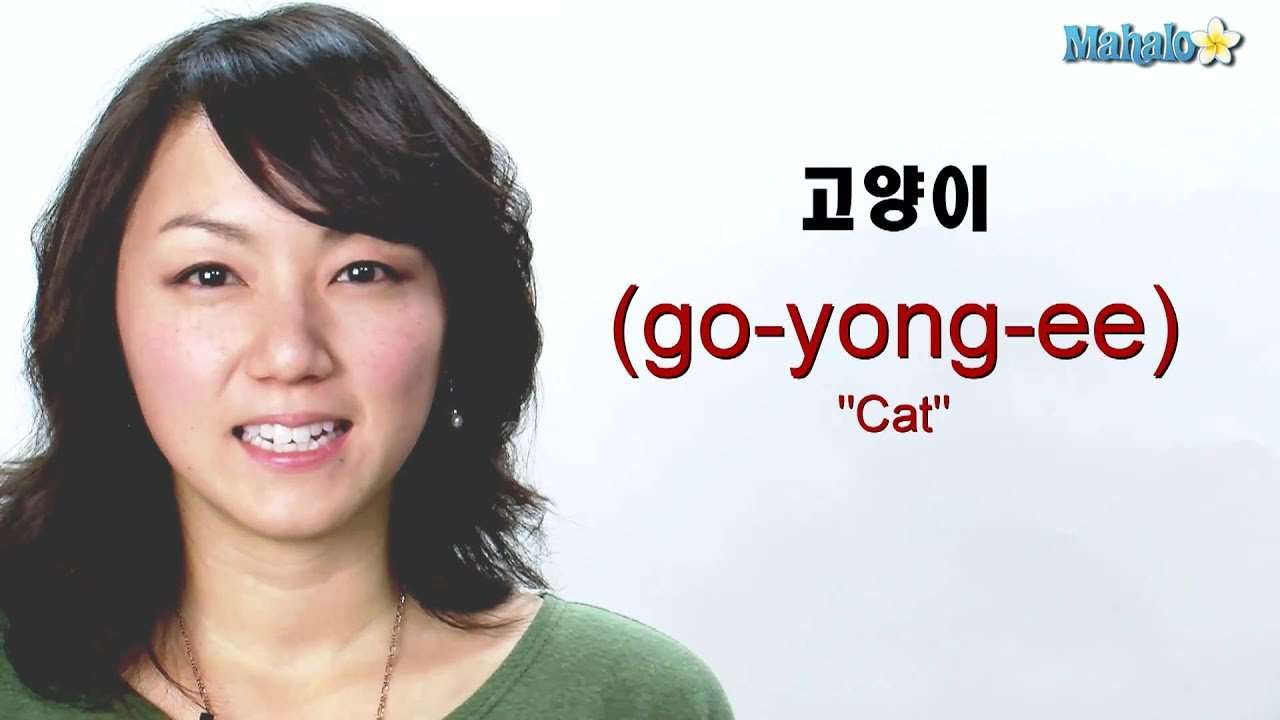 How to Say " Cat"  in Korean