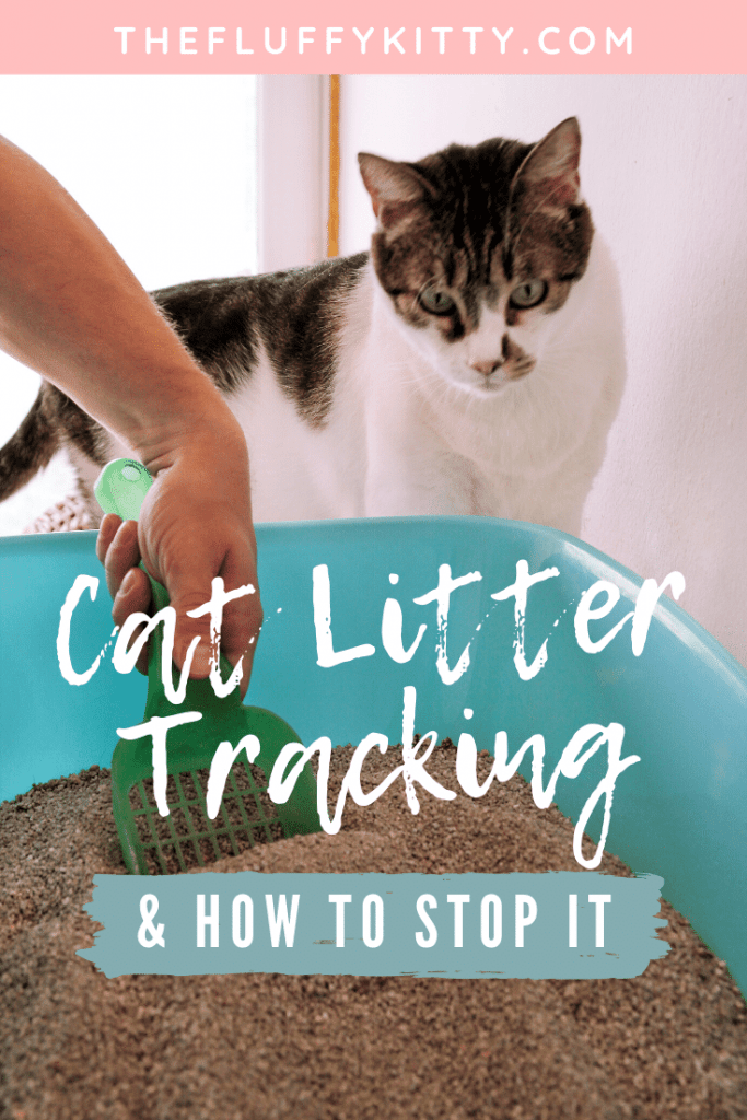 How to Stop My Cat from Tracking Litter Everywhere ...