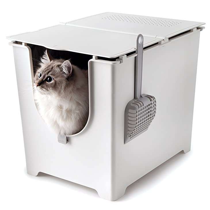In Search of the Best Litter Box For Multiple Cats