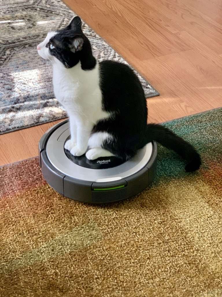 Is Roomba the Best Robot Vacuum?